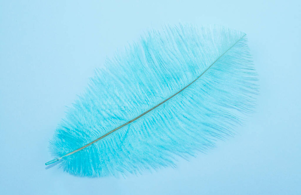 Синяя текстура пера. Фон из перьев. Плоский, вид сверху - Фото, изображение