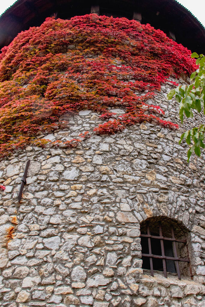  Замок Смоленіца в Словаччині на підйомі, Europe1 - Фото, зображення