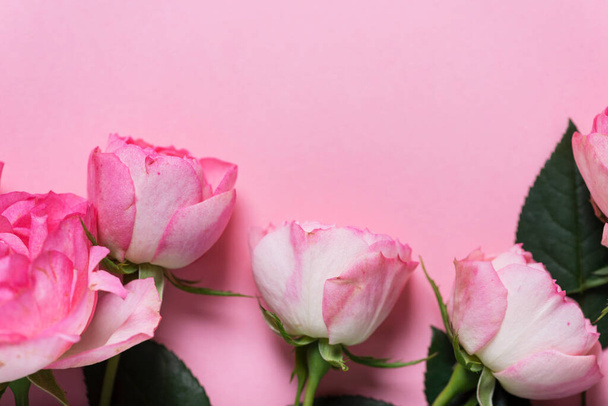 Pink English roses on the pink background, top down view with copy space - 写真・画像
