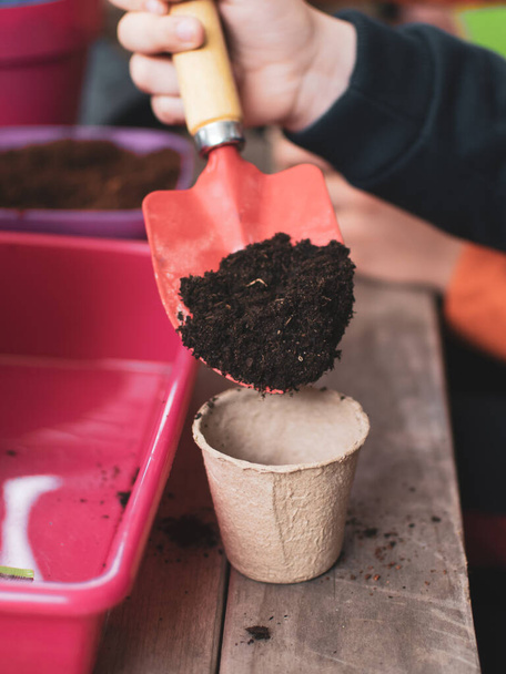 Jonge kinderen leren zaadjes planten in de tuin. Smalle scherptediepte van handen die zaden en zwarte grond in pot houden. Ecologische tuin op de lagere school in Spanje - Foto, afbeelding