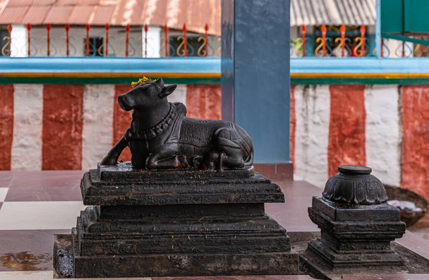 Kadirampura, Karnataka, India - 4 de noviembre de 2013: Templo de Sri Murugan. Primer plano de la estatua negra de Nandi el toro en frente del santuario del Señor Siva. Pared rojo-blanca en la parte posterior. - Foto, imagen