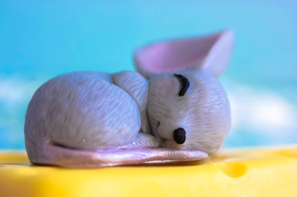 Ratón gris duerme dulcemente sobre un trozo de queso Cheddar amarillo, fondo azul - Foto, Imagen