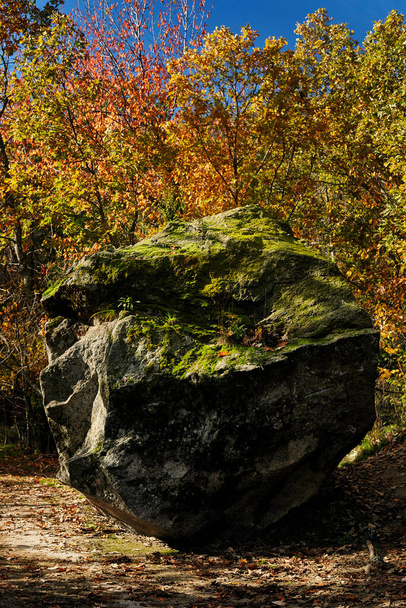  Huge stone in the middle of a forest with leaves and autumn colors. Chair of Felipe II. El Escorial, Madrid. - Photo, Image
