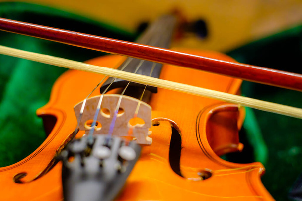 Keula klassinen viulu ruutuun - Valokuva, kuva