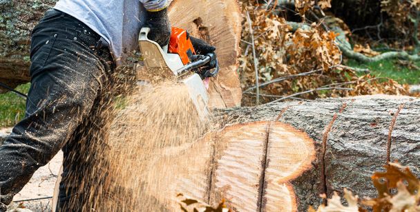 Un paisajista está usando una motosierra para quitar un árbol que había caído durante una tormenta de una propiedad residencial. - Foto, Imagen