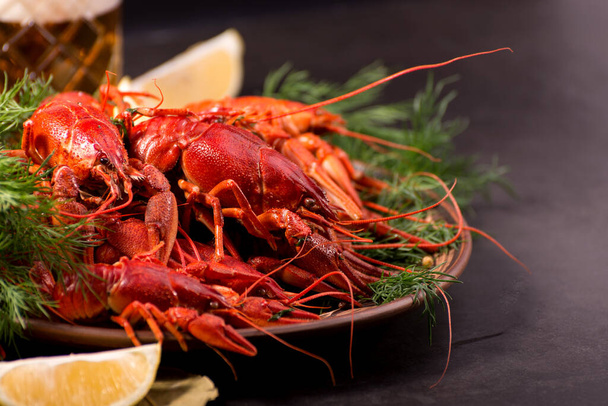 Crayfish boiled on a dish with dill spices and lemon. Dark moody still life. - Foto, Bild