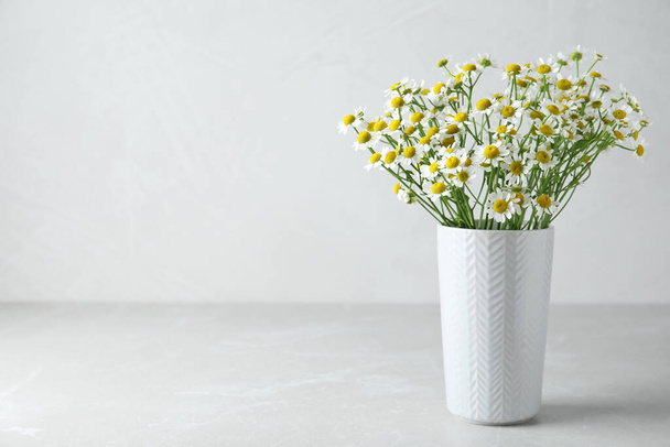 Vase with beautiful chamomile flowers on light grey table. Space for text - Foto, Bild