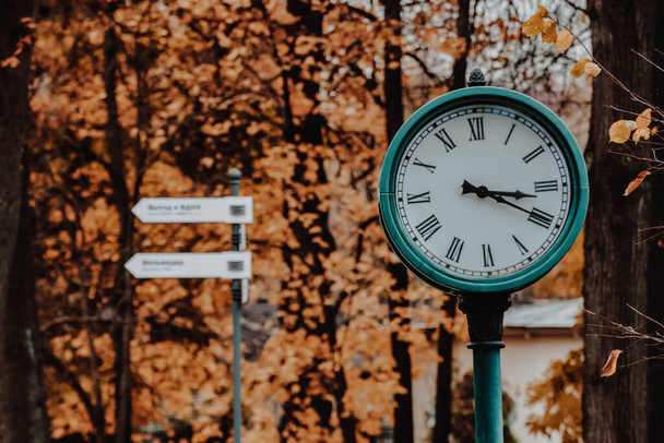 Round street clock in the autumn park  - Zdjęcie, obraz