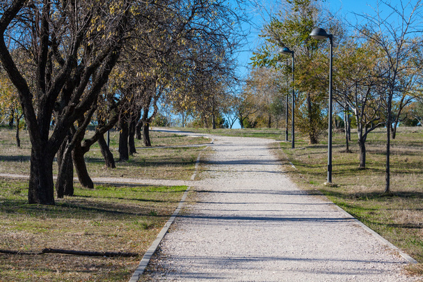 Green alley,path in the park getafe,madrid - 写真・画像