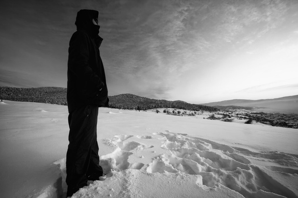 winter black and white landscape  - Photo, Image
