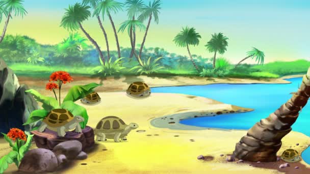 Sok teknős a tenger közelében a trópusokon egy forró napon. Kézzel készített 2D animáció. - Felvétel, videó