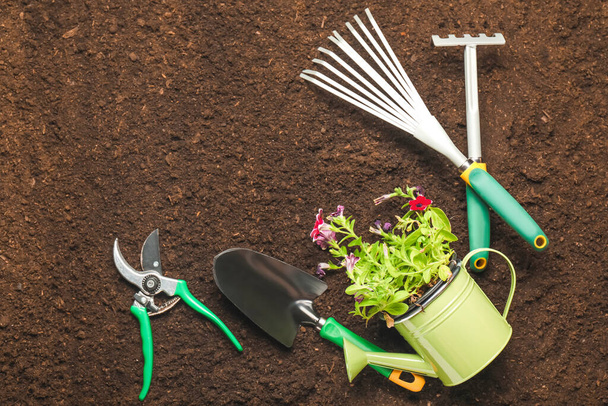 Supplies for gardening with plants on soil - 写真・画像