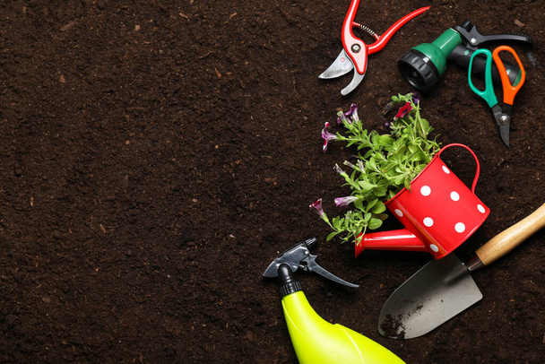 Supplies for gardening with plants on soil - Photo, Image