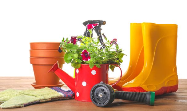 Εργαλεία κηπουρικής και λουλούδι γλάστρα σε λευκό φόντο - Φωτογραφία, εικόνα