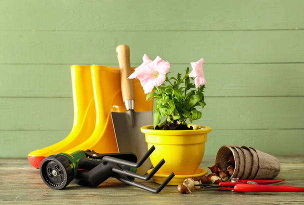 Gardening tools and pot flower on wooden background - Photo, Image