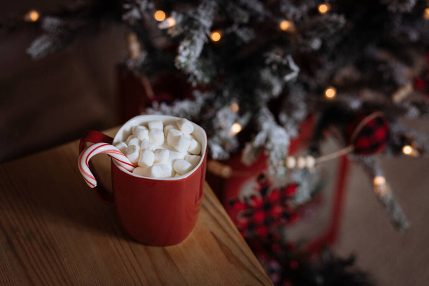 A cup of hot cocoa with seasonal decorations and Christmas tree - Photo, Image