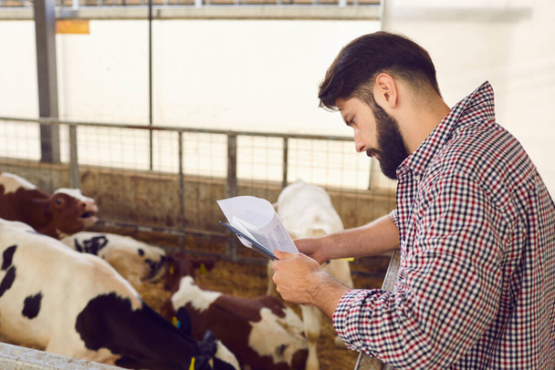 Farmer with documents doing quality monitoring in barn with calves on livestock farm - Fotoğraf, Görsel