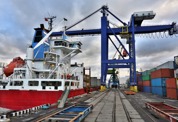 Cargo cranes in the port - Photo, Image