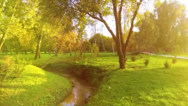 Őszi park egy fényes, napsütéses napon. A természet friss és élénk színei. - Felvétel, videó