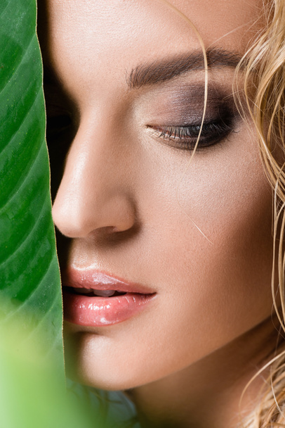 closeup of blonde woman with wet hair and green leaf - Photo, Image
