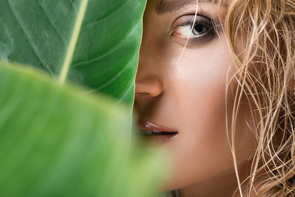 gros plan de femme blonde aux cheveux mouillés et aux feuilles vertes - Photo, image