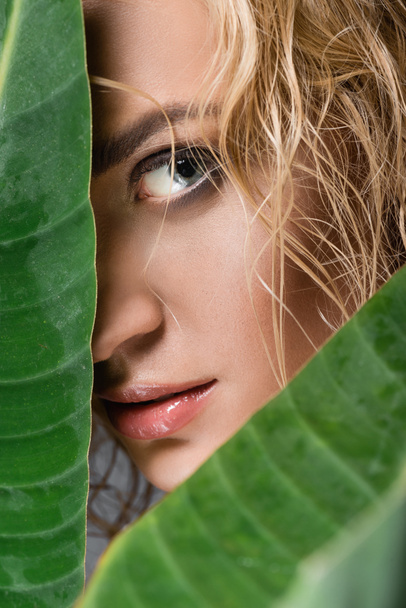 closeup of blonde woman with wet hair and green leaves - Fotó, kép