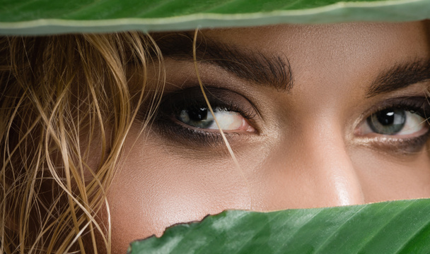 closeup of blonde woman with wet hair and green leaves - Foto, Imagem