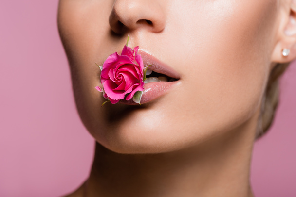 bijgesneden uitzicht van mooie vrouw met roos bloem in de mond geïsoleerd op roze - Foto, afbeelding