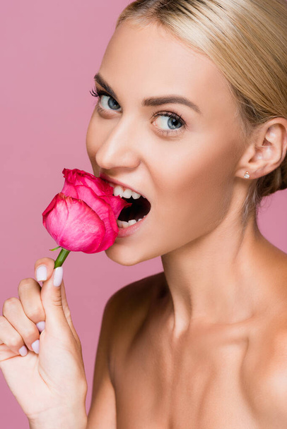 piękna blondynka gryzie różany kwiat odizolowany na różowy - Zdjęcie, obraz