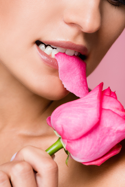 geschnittene Ansicht einer Frau, die Rosenblume beißt, isoliert auf rosa - Foto, Bild