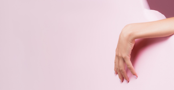 καλλιεργημένη άποψη του θηλυκού χεριού σε ροζ χάρτινη τρύπα, banner - Φωτογραφία, εικόνα
