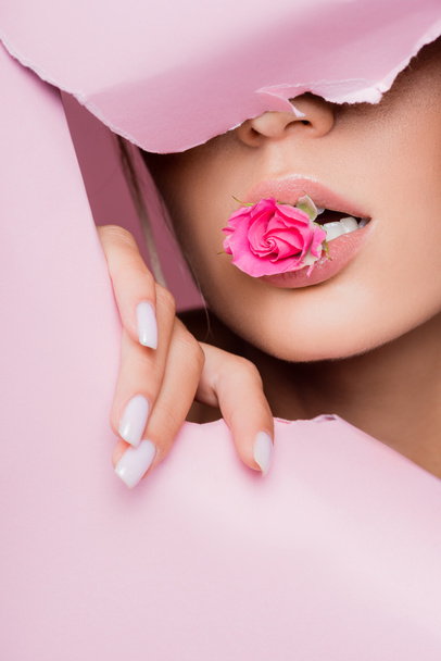 beautiful woman with rose in mouth in pink paper hole - Zdjęcie, obraz