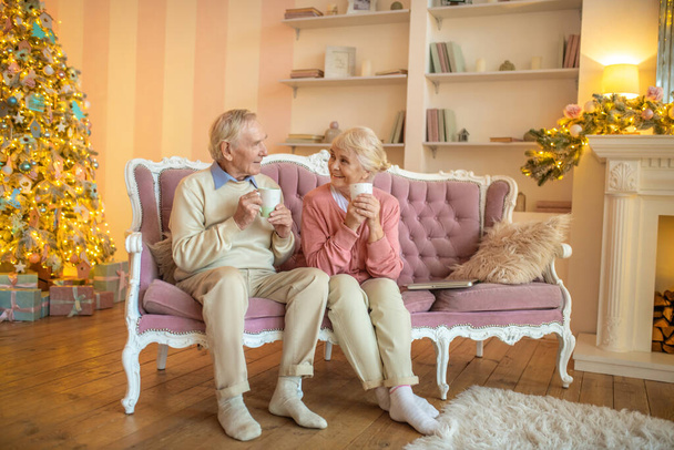 Senior couple sitting in a beautiful room and talking - Фото, зображення