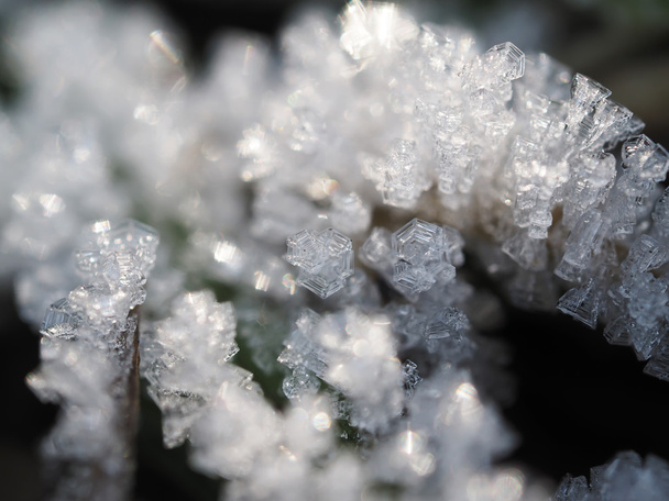ice crystals - Фото, изображение