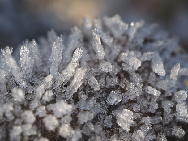 ice crystals - Zdjęcie, obraz