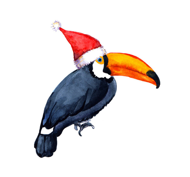 Toucan bird in red santa hat. Unusual card for tropical Christmas. Watercolor card - Photo, Image