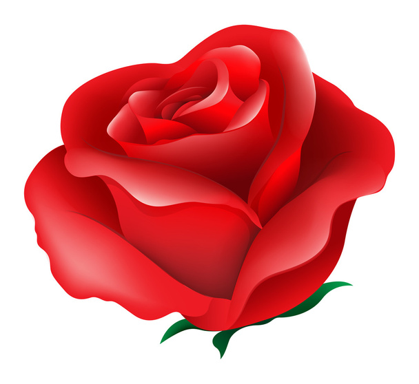 A red rose - Vector, Imagen