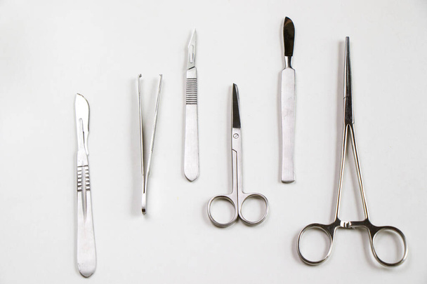 Dissection kit, stainless steel tools for medical students of anatomy, biology, veterinary, marine biology with scalpel blades. Operation equipment. - Photo, Image