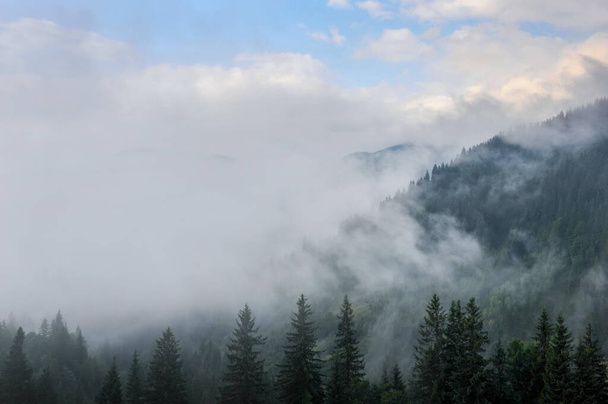 Ορεινό τοπίο στην πρωινή ομίχλη μετά τη βροχή - Φωτογραφία, εικόνα