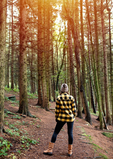 woman in yellow shirt walking in autumn forest - 写真・画像