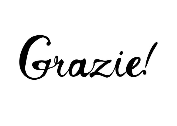 Inscription in Italian: Thank You - grazie. - Vektori, kuva