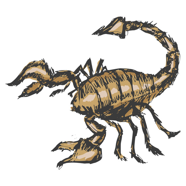 scorpion - Vektor, obrázek