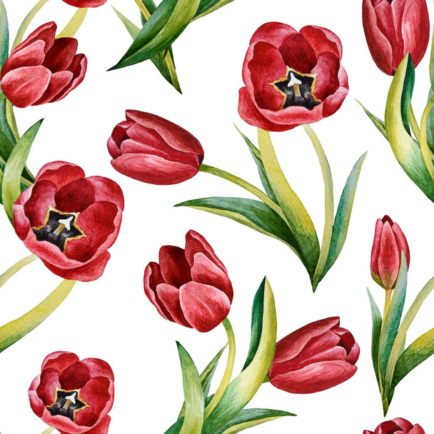 Illustration of watercolor hand drawn pattern with Spring tulip flowers. Summer or Spring background. Wedding invitation, postcard. Romantic floral background. Textile. Japanese style. Vintage, Retro. - Фото, изображение