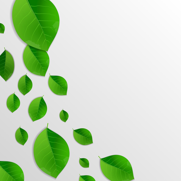 Green leaves abstract background - Vector, Image