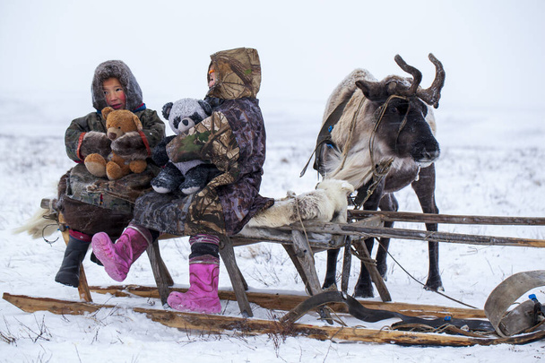 Jamalin niemimaa, äärimmäinen pohjoinen. Onnellinen poika ja tyttö poronhoitajalaitumella kylmänä talvipäivänä, napapiiri, lapset ja eläimet. - Valokuva, kuva