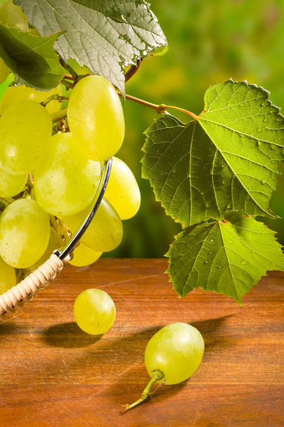 Grape in gab - Foto, Bild