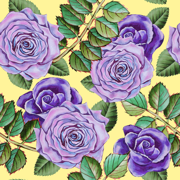 Ilustrace akvarelu ručně kreslený vzor s barevnými modrými růžemi a listy. Romantické květiny, kvetoucí, květinové pozadí, botanické. Na tapety, tkaniny, textil. Rok a retro styl. - Fotografie, Obrázek