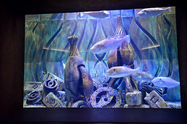 Aquarium of Atlantis the Palm hotel - Фото, изображение