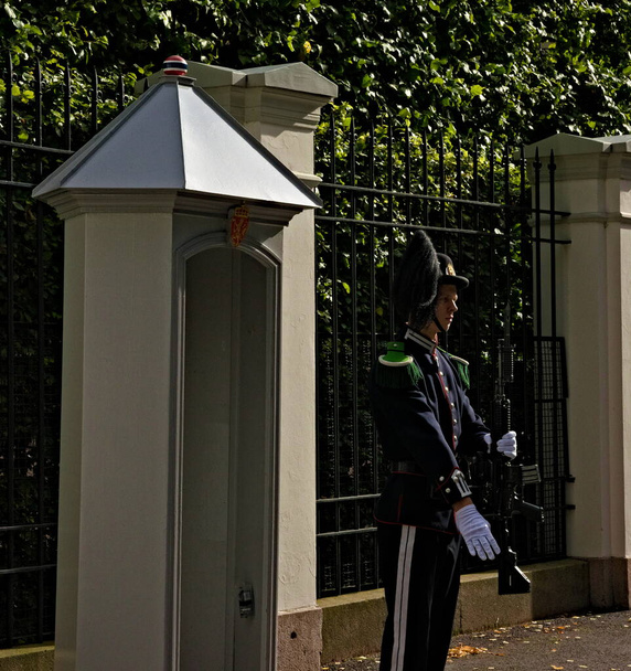 Koninklijke wacht staat bij zijn wachthuis. Hoge kwaliteit foto - Foto, afbeelding