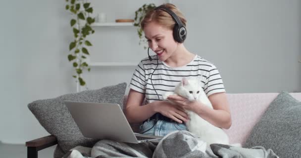 Genç güzel sarışın kız evdeki kanepede oturur dizüstü bilgisayar ekranına bakar mikrofon takar arkadaşlarıyla görüntülü konferans sohbetleri yapar beyaz kedi selamlaşması yapar. - Video, Çekim